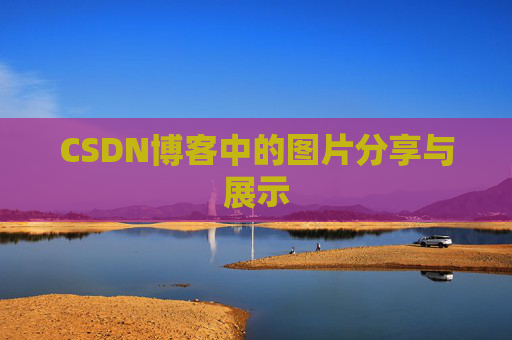 CSDN博客中的图片分享与展示